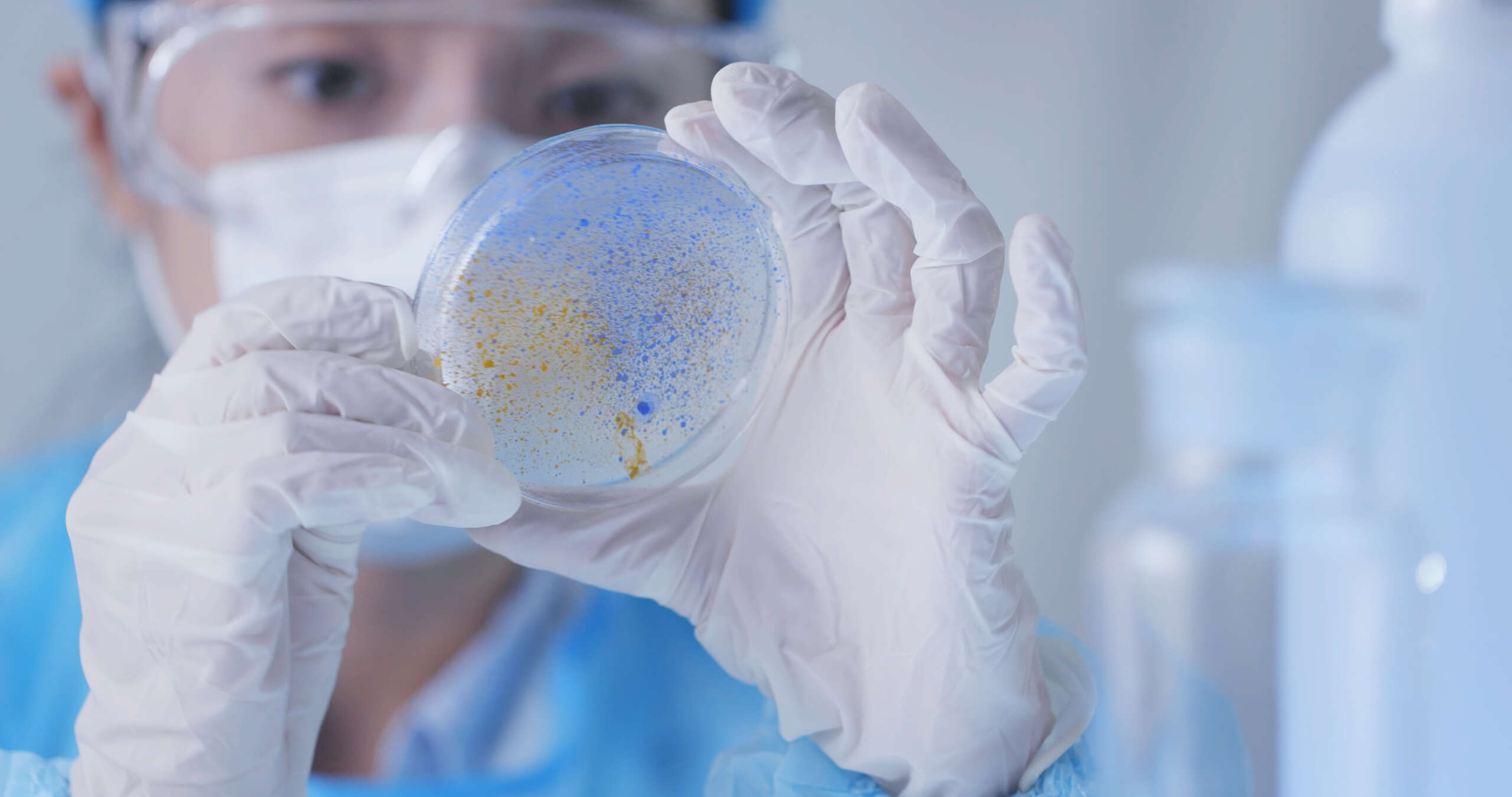 Medical research student using a laboratory pipette and petri dish